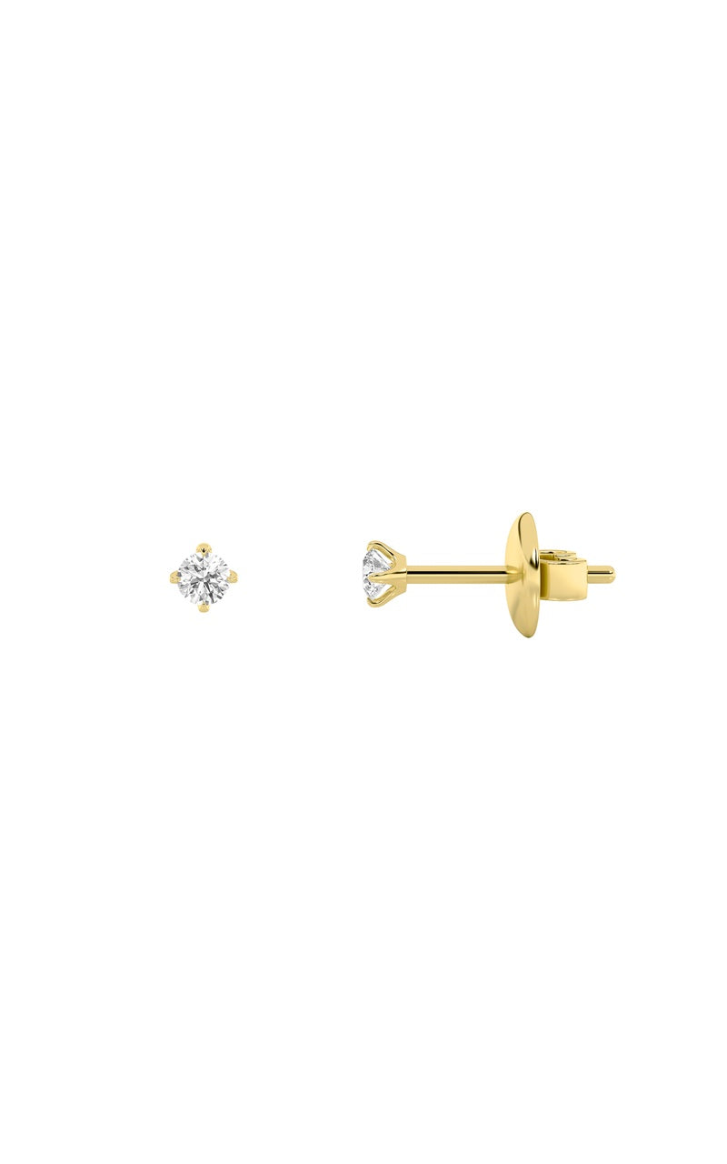0.25Cttw Round Shaped Lab Grown Diamond (F/VS) Stud Earrings in 14K Gold