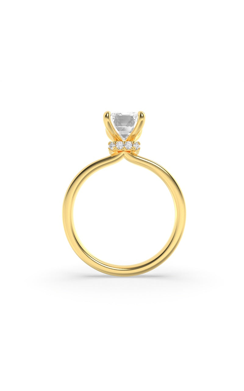 1Cttw Emerald Shaped Lab Grown Diamond (F/VS) Hidden Halo Plain Shank Engagement Ring in 14K Gold